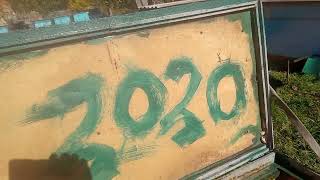 видео: Слетела семья причина очевидна... картинка: Слетела семья причина очевидна...