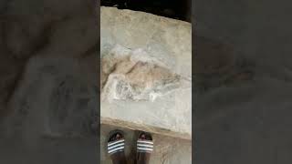 Okigbe Todaju (anti Cutlass) WhatsApp or contact for more details 09072880398 #usa #uk #london