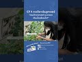 พันธุศาสตร์ = วิชาที่เข้าใจ รหัสลับของชีวิต #พันธุศาสตร์KU #scienceku #sciku #นักพันธุศาสตร์