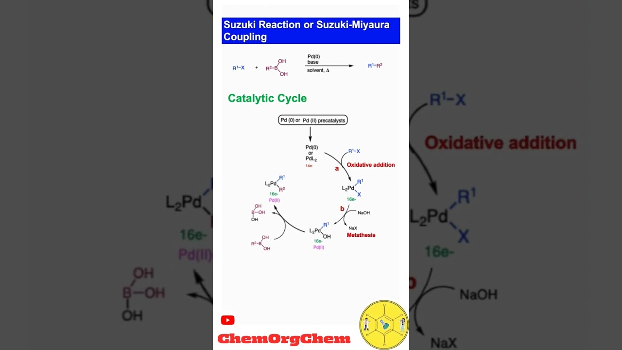 Suzuki reaction|Suzuki-Miyaura coupling|