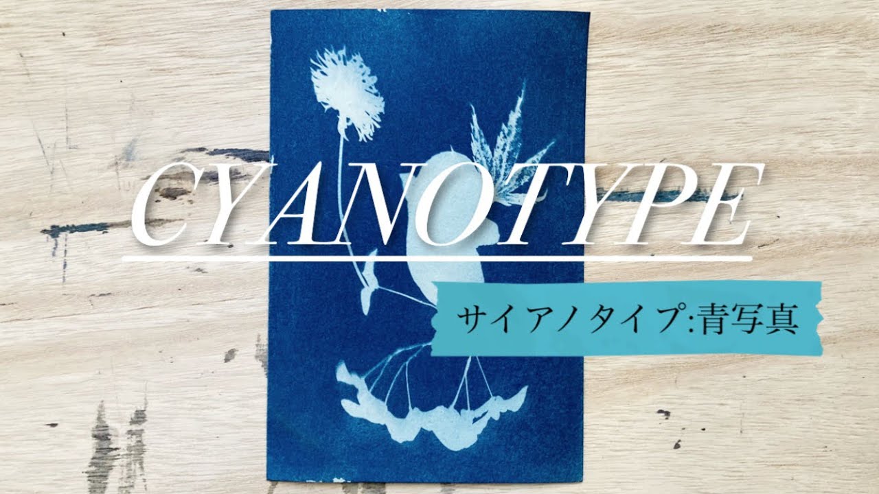 インクセットを使ったサイアノタイププリント【cyanotype/青写真印刷
