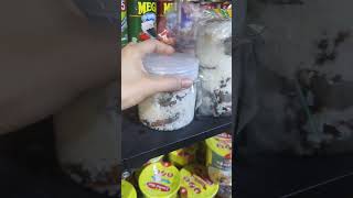 Home Made Burong Hipon