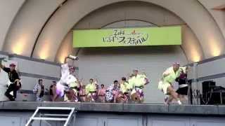20141103 初台連〜渋谷フェスティバル出演 阿波おどり awaodori