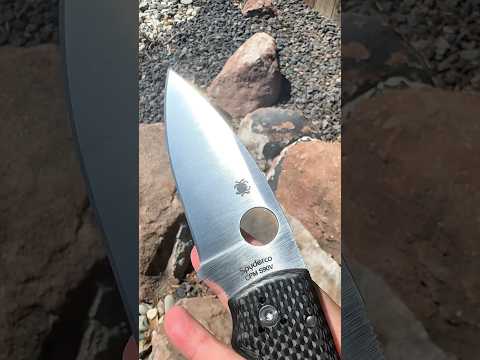 Sunday Spyderco with the Shaman Sprint in S90V