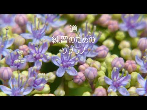 若松歓　EXILE　「道」　ソプラノ　「ニューコーラスフレンズ」より