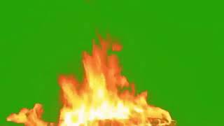 Green screen Api unggun