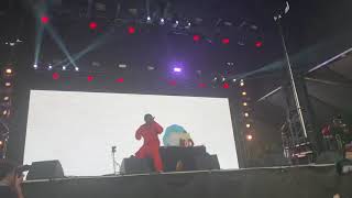 IDK - Camp Flog Gnaw 2019 - “Lilly”