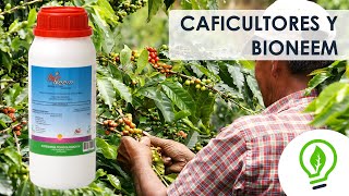 Caficultores y su experiencia con el uso de BioNeem