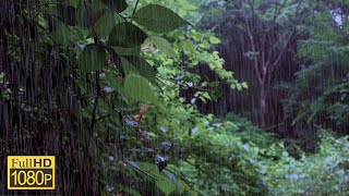 [sound of rain] It takes 2 hours and 49 minutes to be healed by the sound of rain in the forest.
