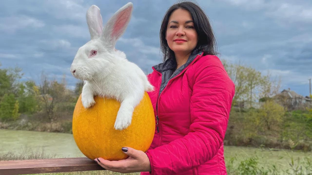 Zarter Kaninchenbraten aus dem Kürbis mit Tomaten und Zwiebeln – Victorias Rezept