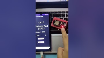 BEEC 4814 | LAB 5: ANDROID STUDIO INTERFACING (Allya Maisara & Tommy Lee)