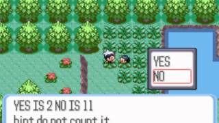 Pokemon Ruby Fury weird guy