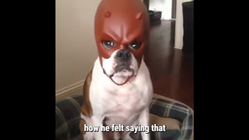 When the mirage player gets angry in Apex Legends #Shorts