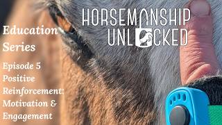 Episode 5 Positive Reinforcement: Motivation & Engagement