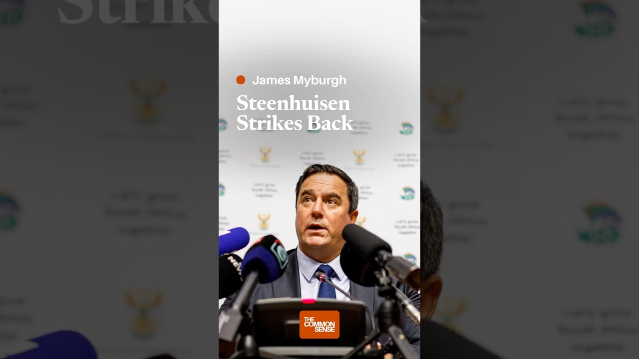 Steenhuisen Strikes Back