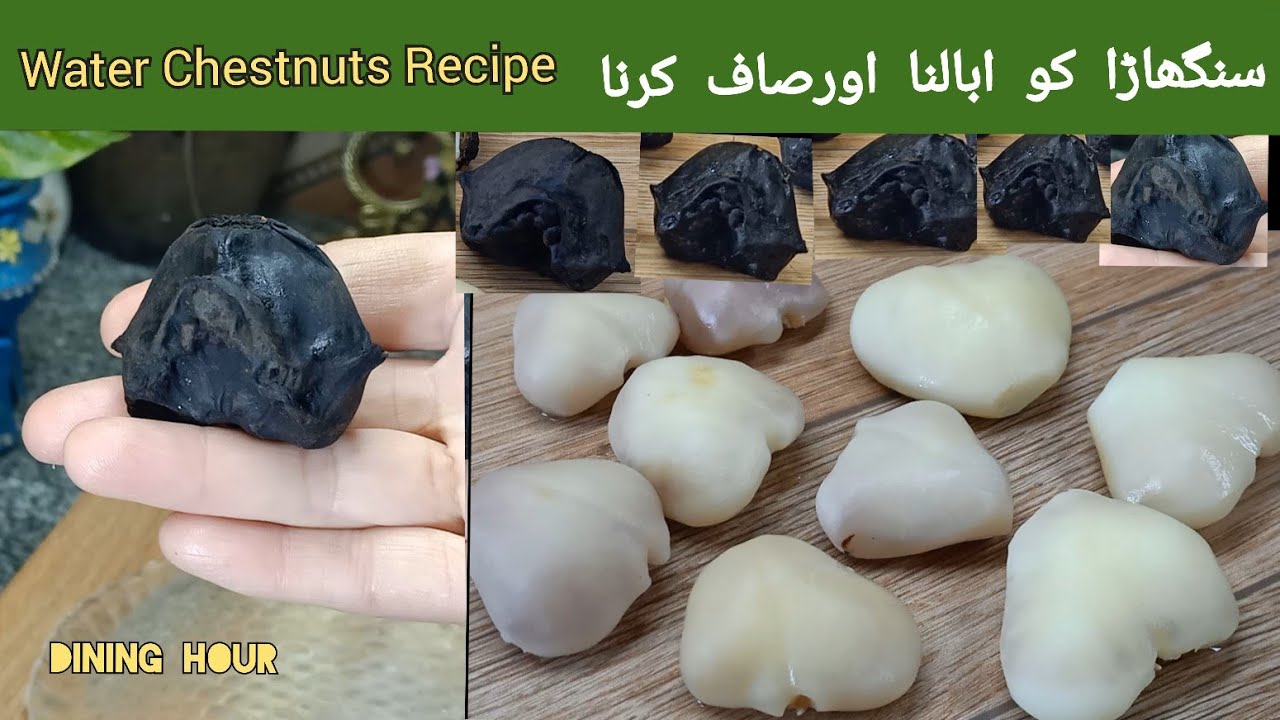 Water Chestnut Cleaning  Tricks | How to  Cut  Water Chestnut | Singhara/Sangria  by Dining Hour