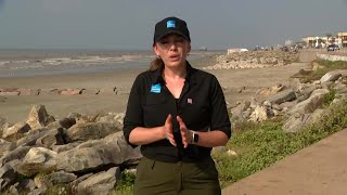 Hurricane Beryl Recovery Process Beginning in Galveston Island, Texas