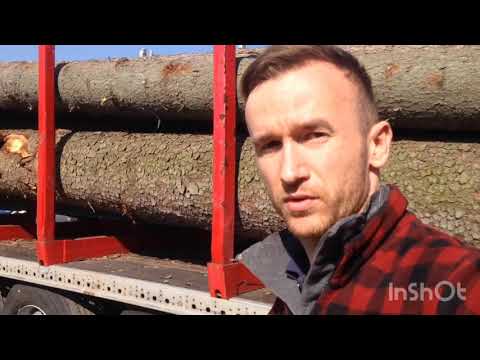 Wideo: Drewno Strugane (19 Zdjęć): Jaka Jest Różnica Między Drewnem Struganym Na Sucho A Drewnem Obrzynanym I Co To Oznacza? Wymiary, ścięte Belki Sosnowe I Inne Opcje