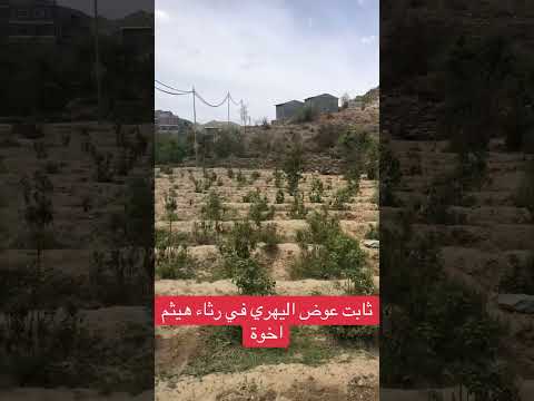 قصيدة رثاء الشاعر القدير ثابت عوض اليهري في اخيه هيثم عوض