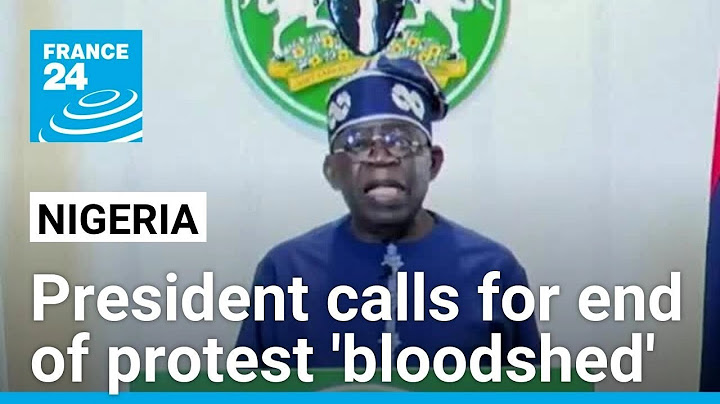 Nigeria's president calls for end of protests against economic hardship, a 'bloodshed' • FRANCE 24