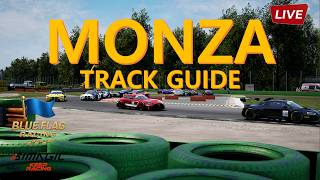 아세토코르사 컴페티치오네 Blue Flag Racing MONZA TRACK GUIDE 및 스왑레이스미리보기