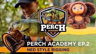 Perch Academy - Episode 2 - NED Style Rigging
