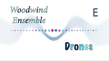 Woodwind Choir Drone in E
