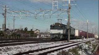 【大宮更新色】 EF64-1004号機牽引 1550レ(稲沢→大府) 稲沢～清洲にて