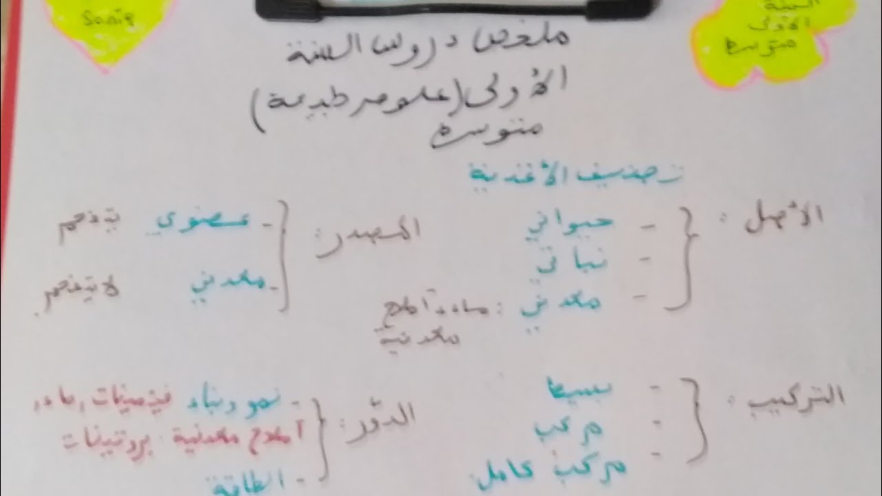 ملخصات  و مراجعات 1am