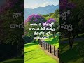 please like share and subscribe # Prema Desam movie 🩷🎶song#Nanu nenu marichina ne🩷🎶#songs #ytshorts