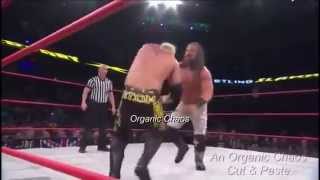 Slammiversary 2014 Highlights