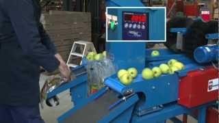Burg Machinery - BTV 2-2 with batching buffer belt