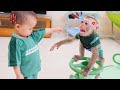 Pupu monkey is angry and sad because nguyen wont let him play together