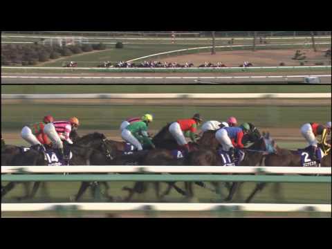 ~Dream Journey conquers both Grand Prix races!~ The 54th Arima Kinen