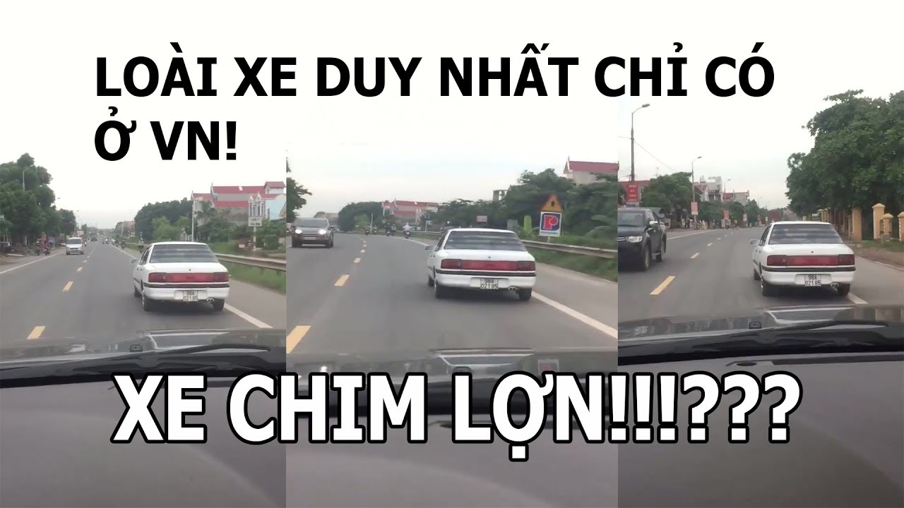 Loài xe duy nhất chỉ có ở Việt Nam - XE CHIM LỢN