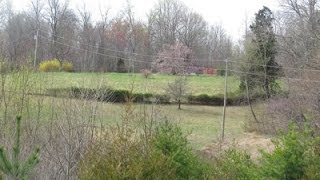 3095 Spring Branch Rd video tour