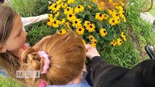 Butterfly Release