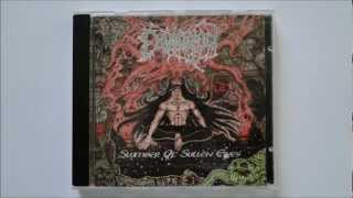 Demigod - Transmigration Beyond Eternities