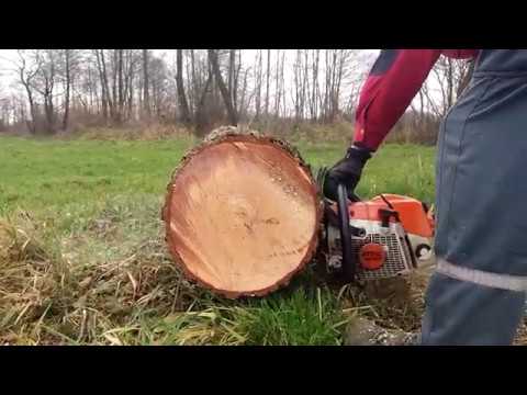 Stihl MS 270