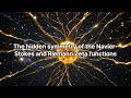The hidden symmetry of the Navier-Stokes and Riemann Zeta functions