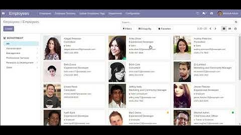 Employees Tag Update Odoo