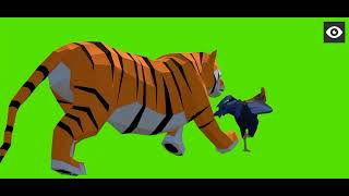 Wild Green Screen Showdown: Chicken vs. Tiger