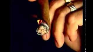 Download Lagu DMH ( Dizzy , Mark1 \u0026 Honey ) Tu ai tot ce vreau, Official video MP3