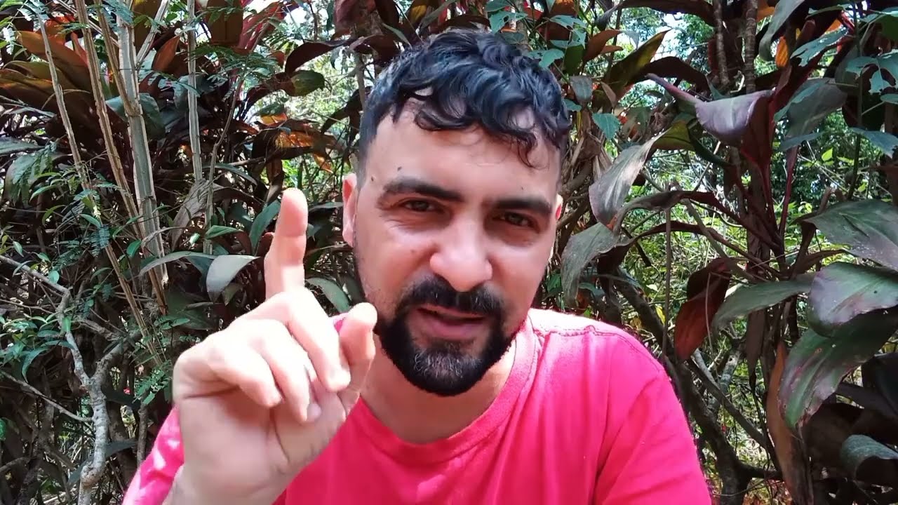 Frivasos e suculentas