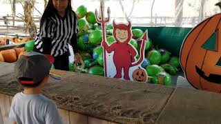 Pumpkin Patch Halloween - Irvine Park Railroad 2022