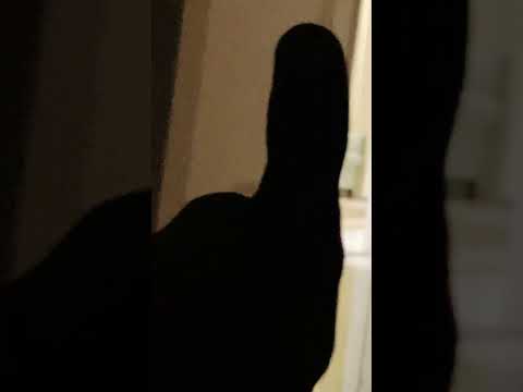 25 ديسمبر 2024