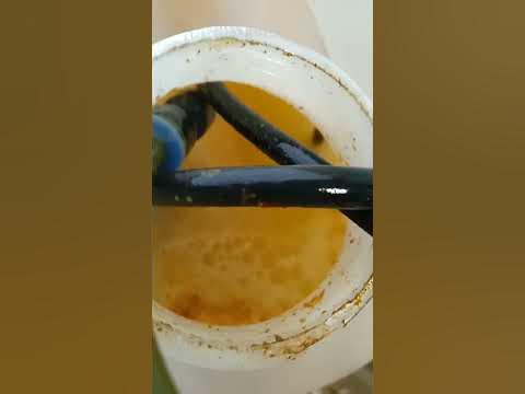 Наращиваю Титаниум очень просто. Ни фильтров, ни стерильности. Он сам ...