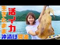 【五島列島エギング】釣りたてアオリイカを生きたまま沖漬け醤油に!【釣×食】