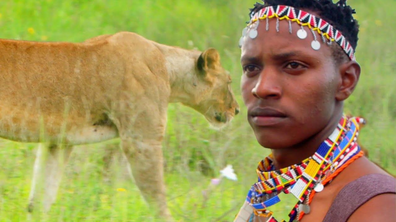 The Lion Chaser: The Invention That Changed Farming in Kenya | BBC Innovators | BBC Earth Explore