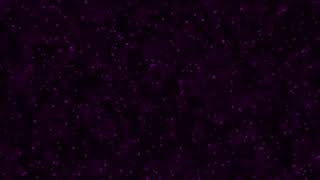 Particles Sparkling Pink Video Motion Background Free Download No Copyright